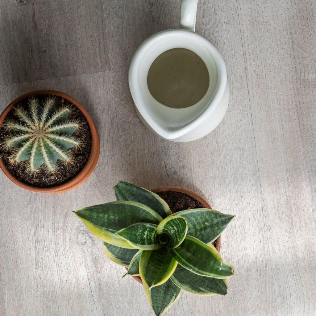 Фото об'єкта 2532472990_vinilovyj-pol-vinilam-1024x1024