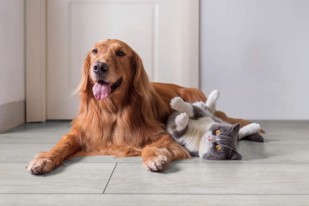 Фото об'єкта rocko_vinylr079_salt_mine-64449575547098-1024x682