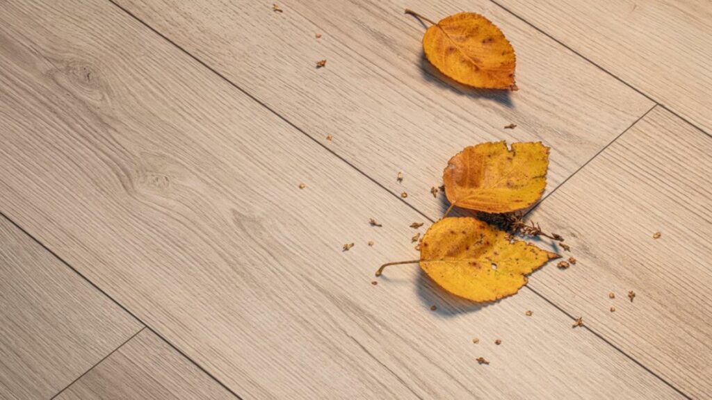 Фото об'єкта csm_k4425_blaetter_detail_quer_3033a8872f-1024x576