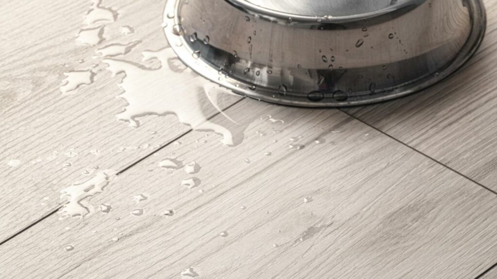 Фото об'єкта csm_k4426_detail_quer_aqua_pro_standarddiele_1383x193_298d9723dd-1024x576