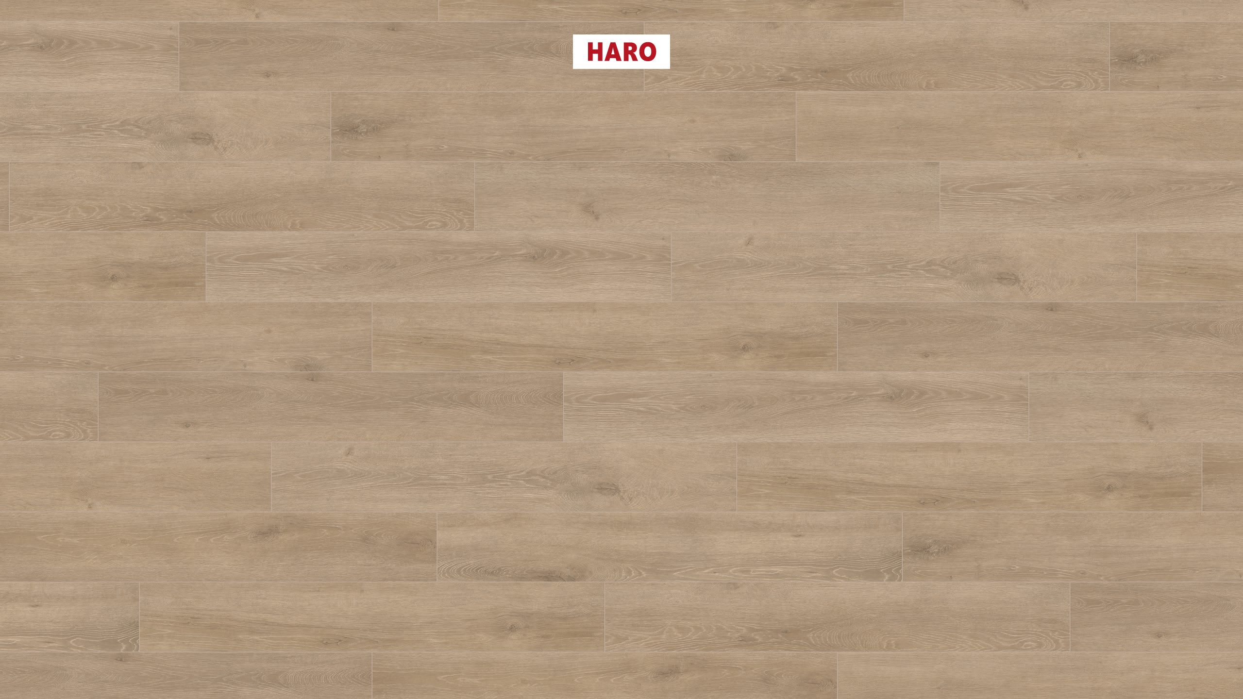 535261_haro_laminatboden_plank_1_strip_4v_oak_veneto_crema_authentic_matt_ver