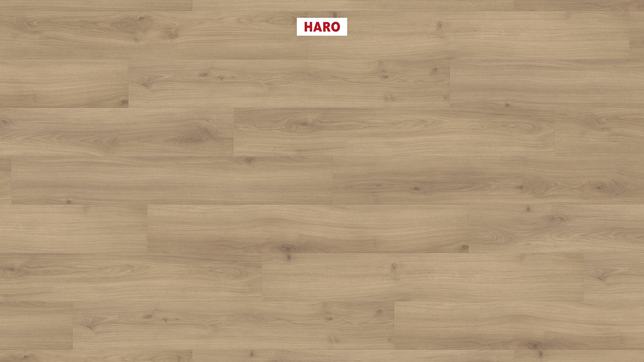 538691_haro_laminatboden_plank_1_strip_4v_oak_emilia_puro_authentic_soft_ver