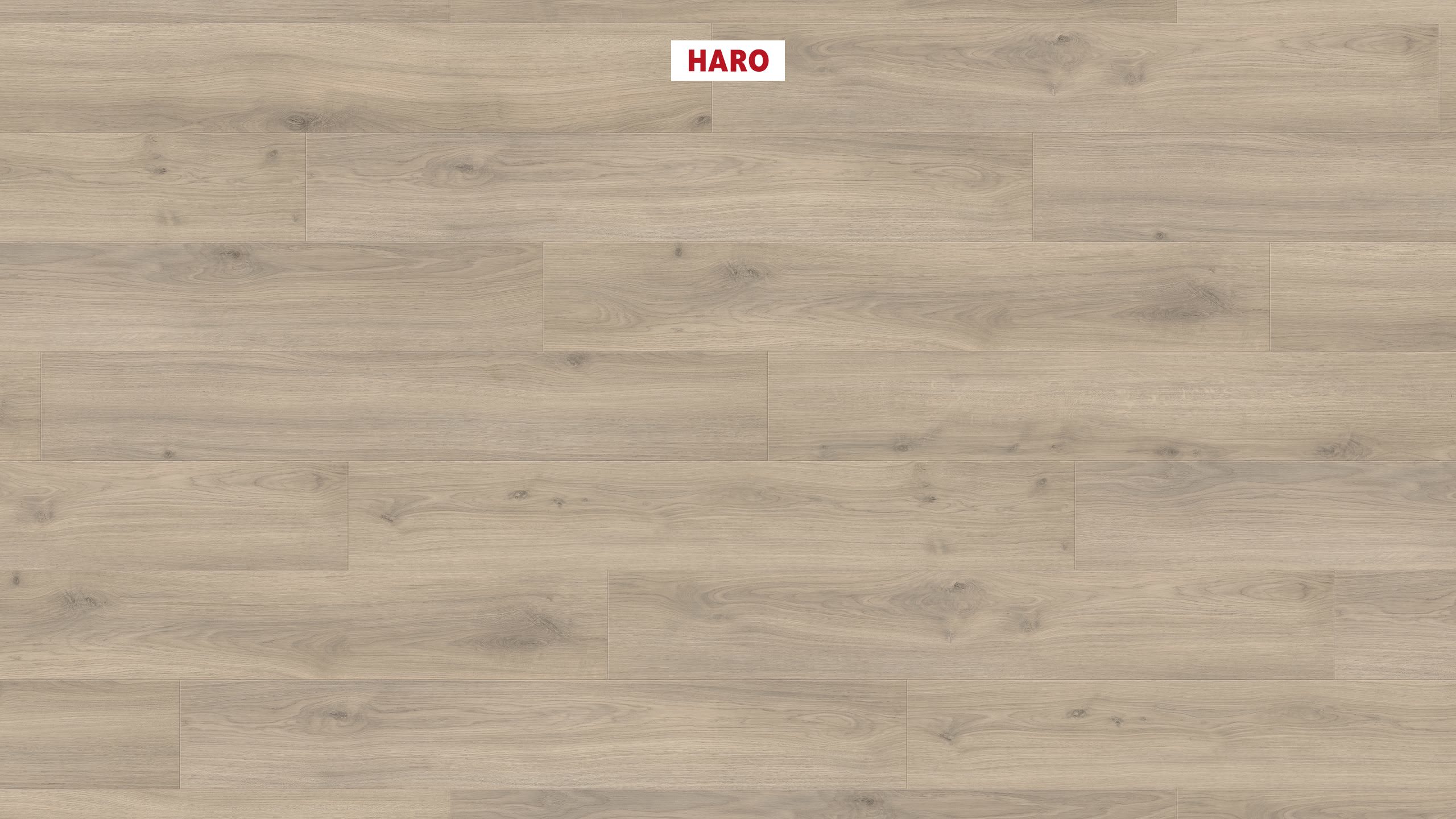 538695_haro_laminatboden_plank_1_strip_4v_oak_emilia_velvet_grey_authentic_soft_ver