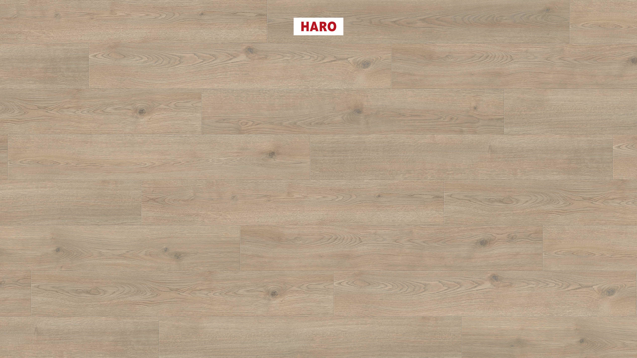 540239_haro_laminatboden_plank_1_strip_4v_oak_contura_stone_grey_authentic_ver