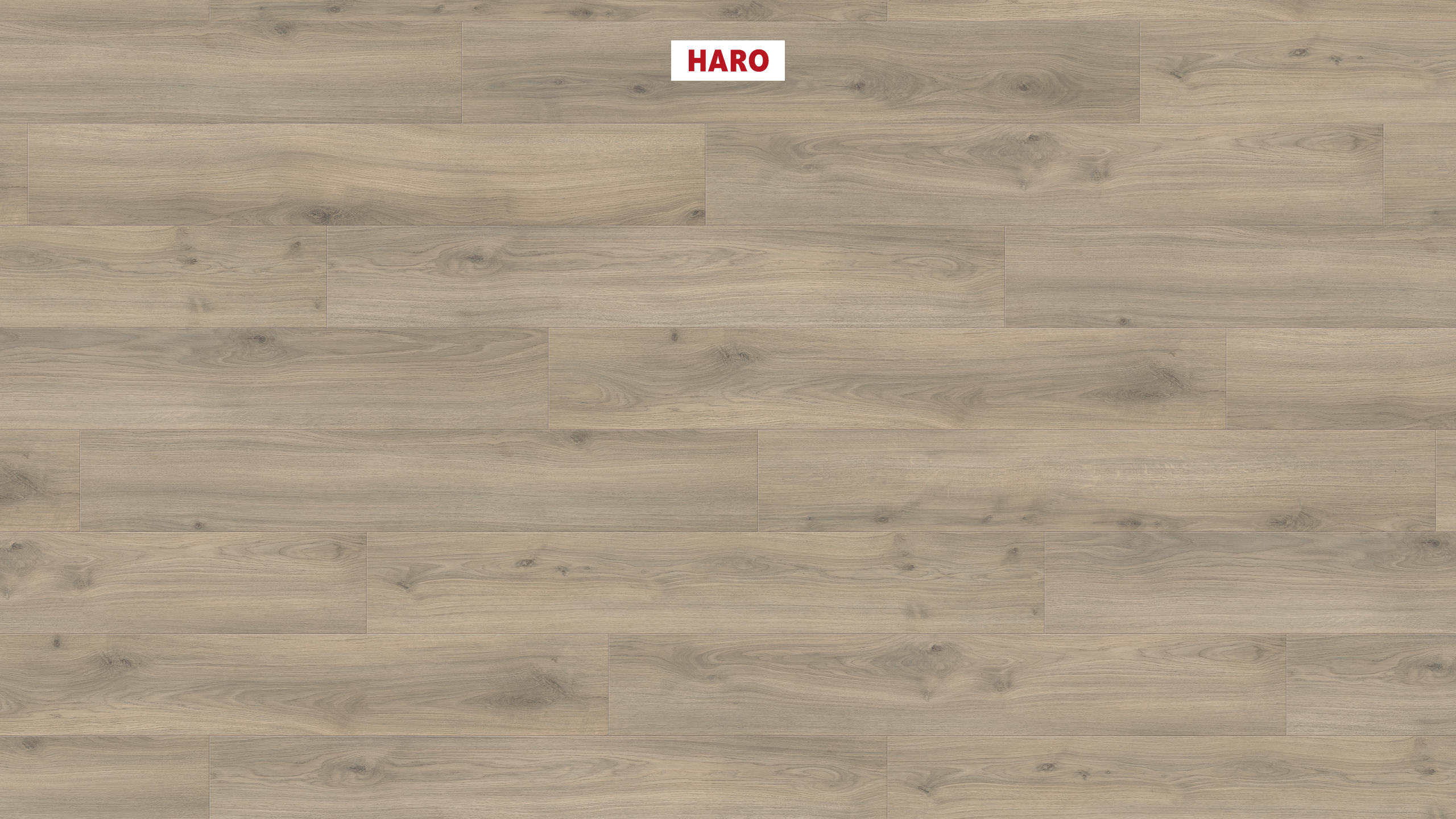 540244_haro_laminatboden_plank_1_strip_4v_oak_emilia_velvet_grey_authentic_soft_ver