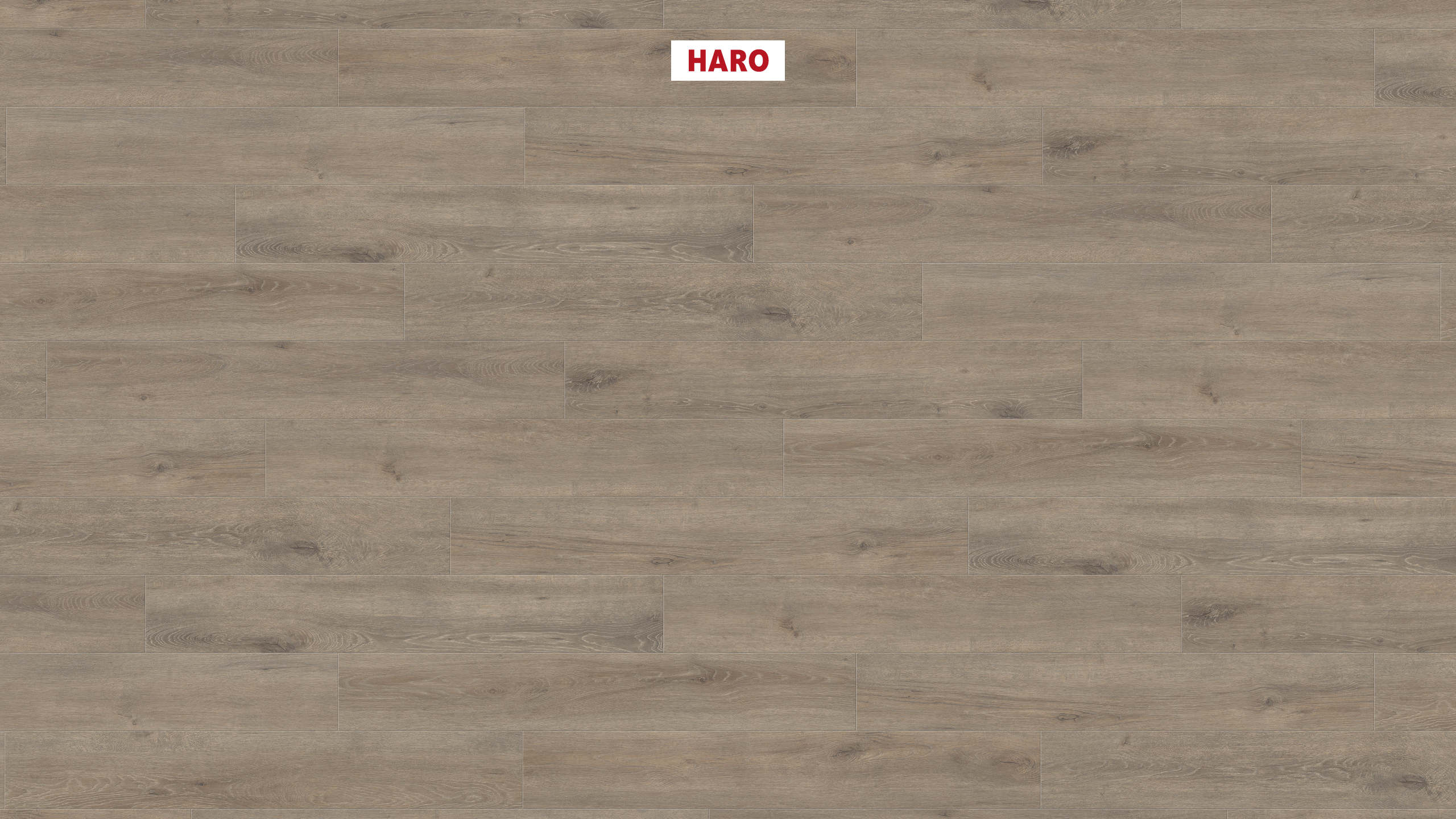 541477_haro_laminatboden_plank_1_strip_4v_oak_veneto_mocca_authentic_matt_ver