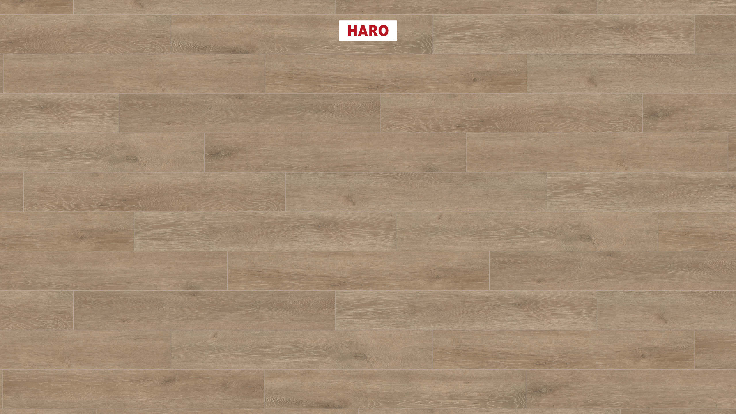 541560_haro_laminatboden_plank_1_strip_4v_oak_veneto_crema_authentic_matt_ver