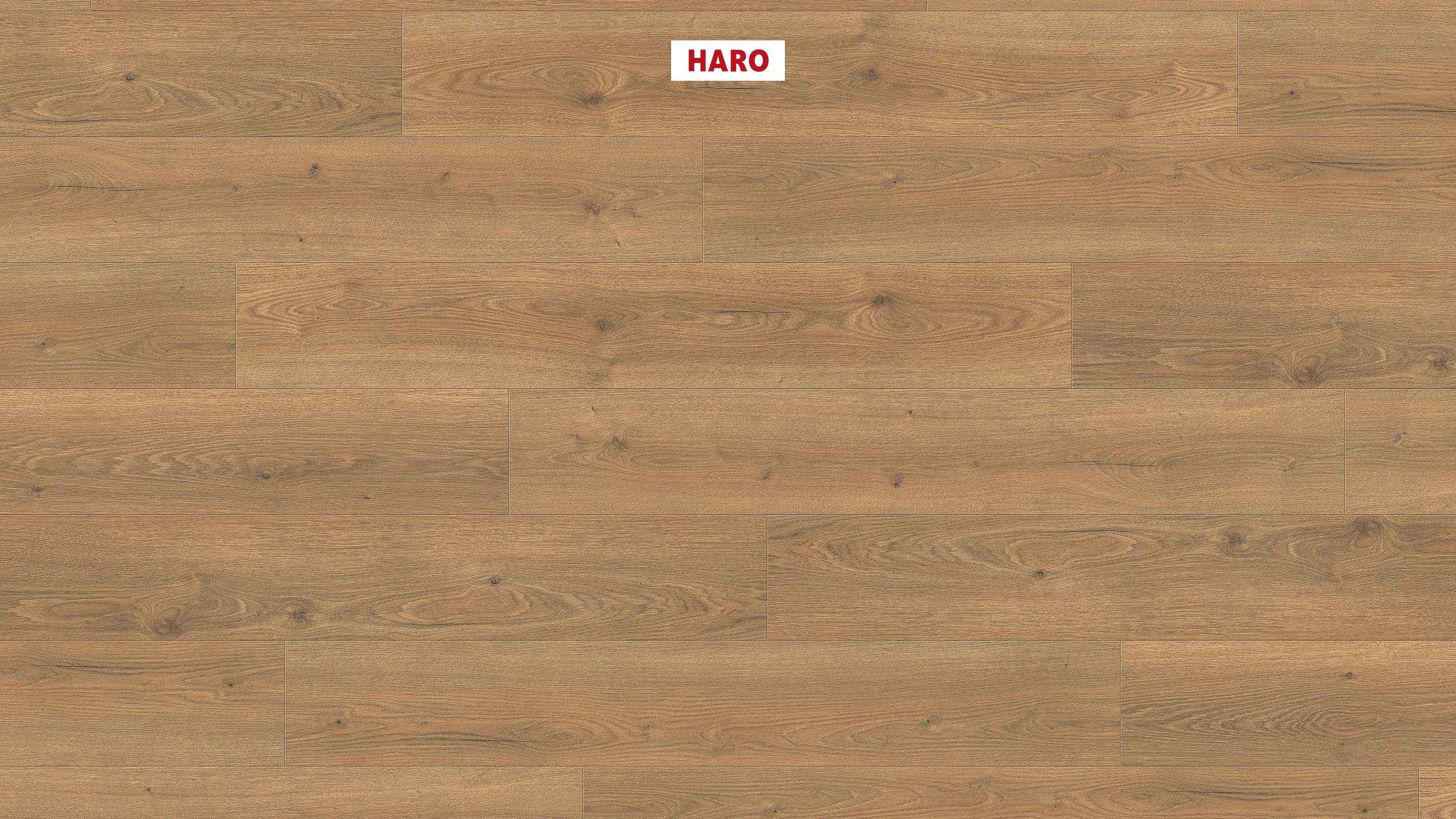 544708_haro_laminate_plank_1_strip_4v_oak_flavia_nature_authentic_ver