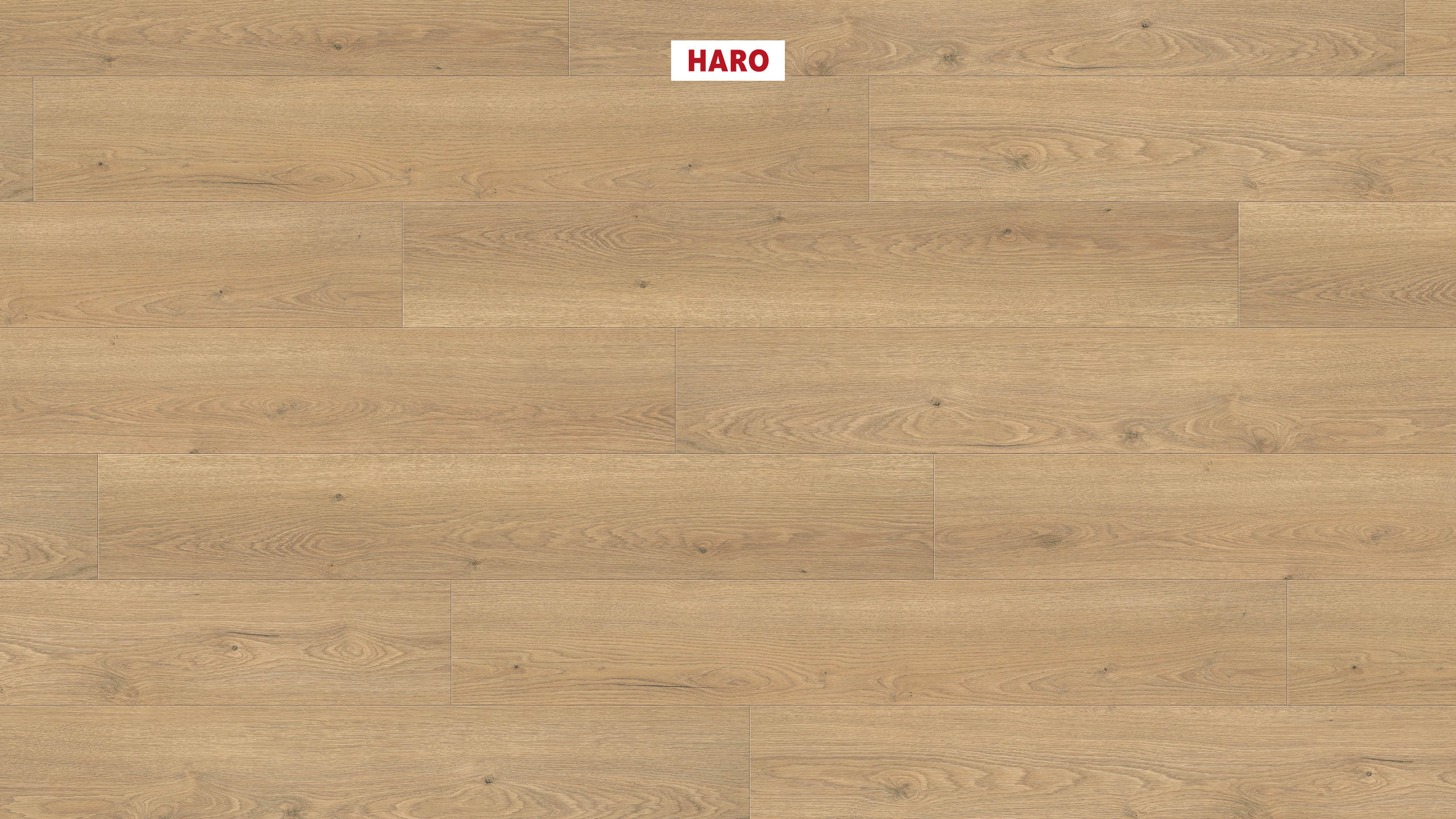 544711_haro_laminate_plank_1_strip_4v_oak_flavia_puro_authentic_ver