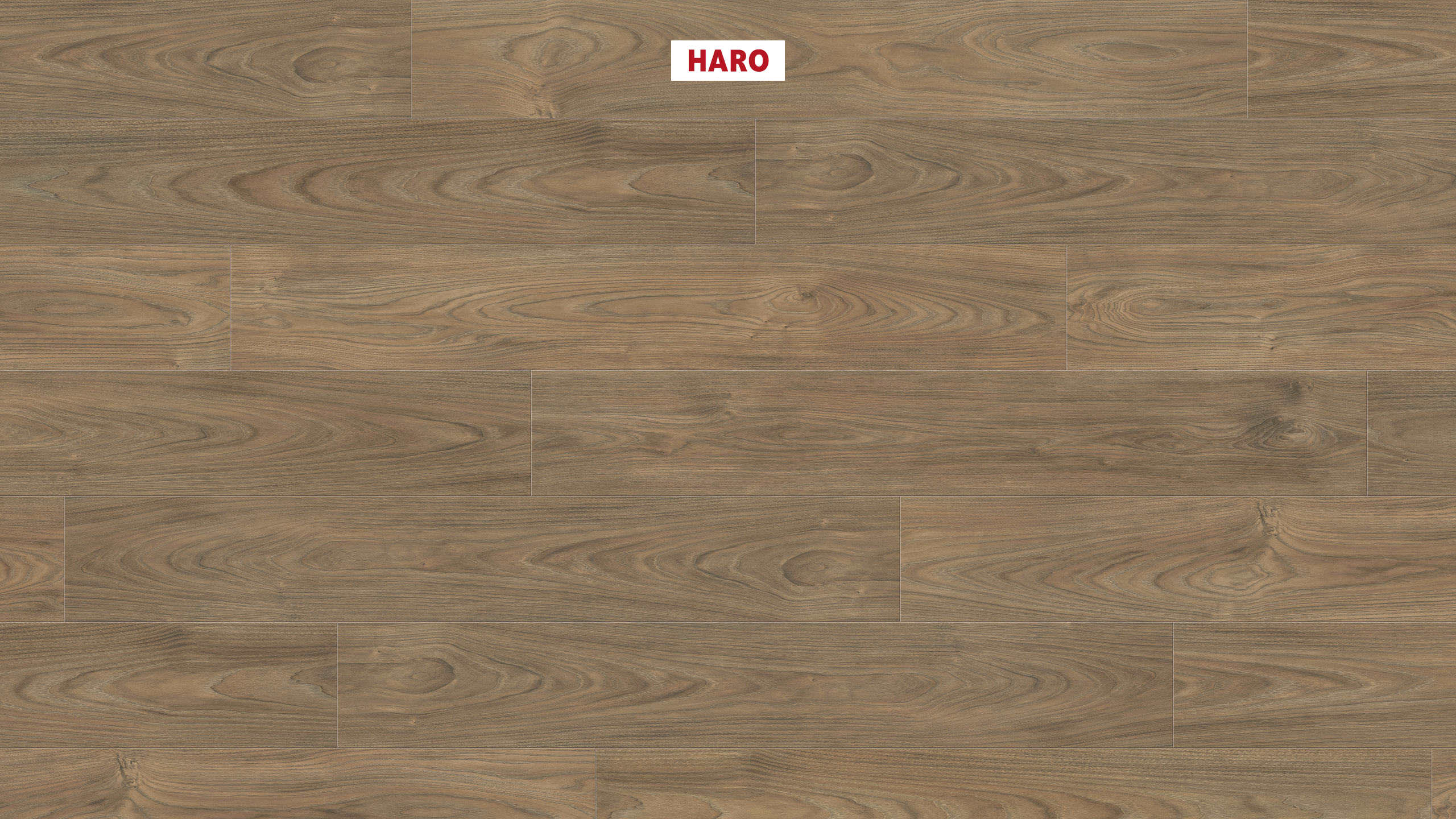 544720_haro_laminate_plank_1_strip_4v_elm_vario_authentic_soft_ver (1)