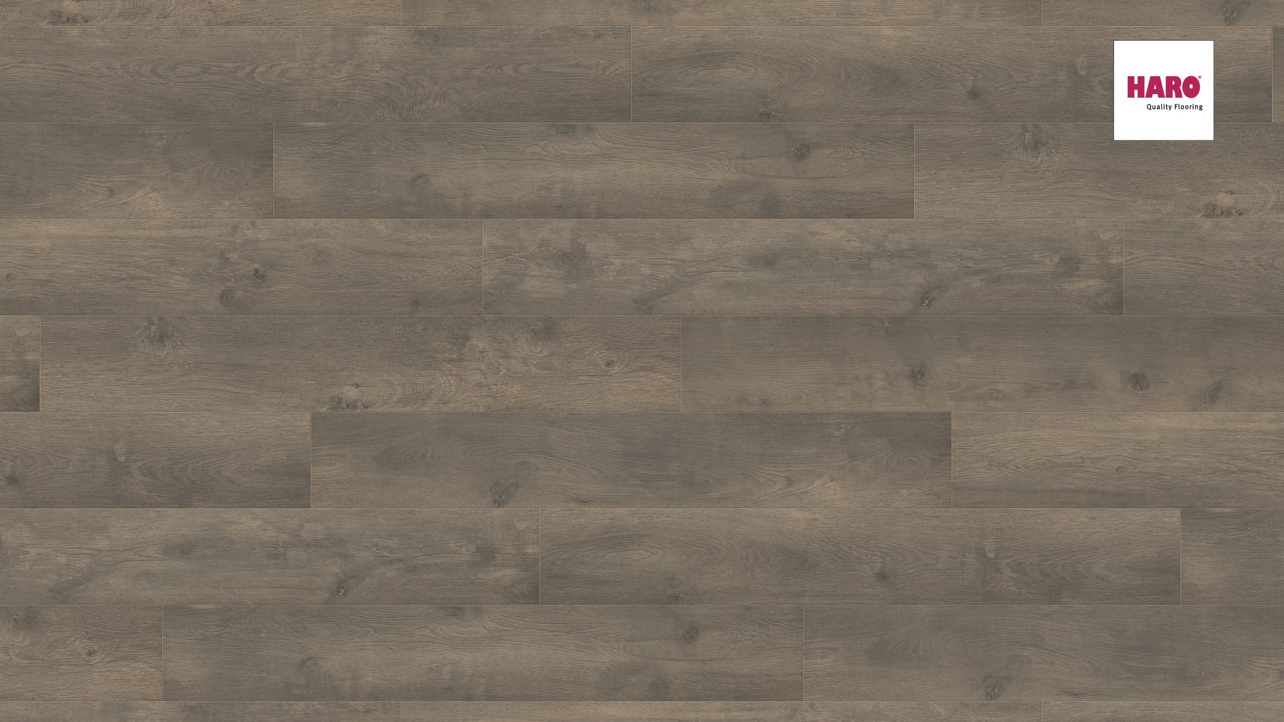 om-media-custom-produktfinder-laminat-draufsicht-fullscreen-538694_HARO_Laminatboden_Landhausdiele_4V_Eiche-Bergamo-carbon_authentic-soft_Ver