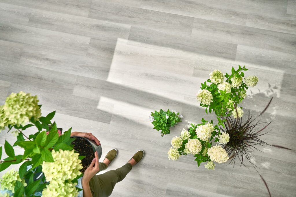 Фото об'єкта 5905167847558_i_01-1024x683