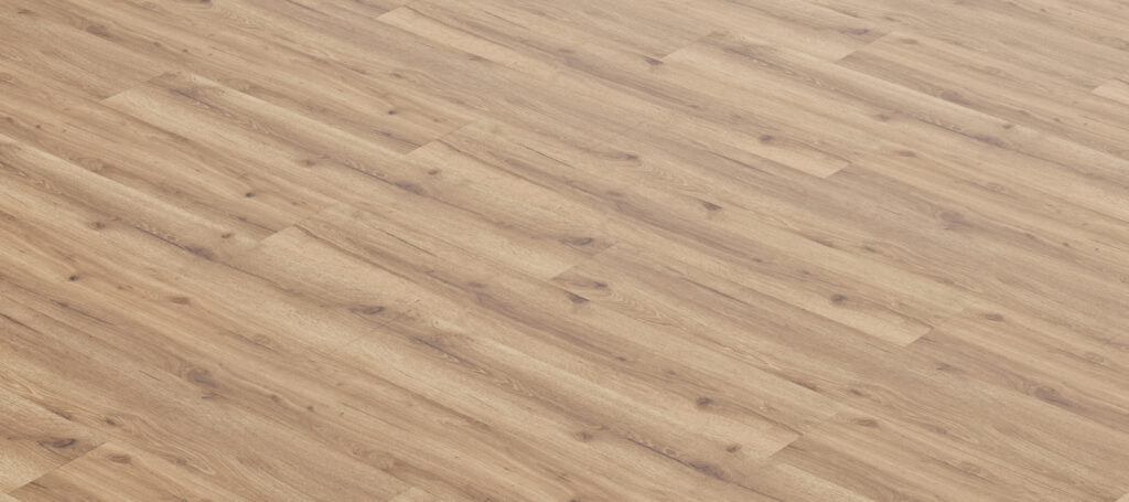 Фото об'єкта reaucc006-1024x455