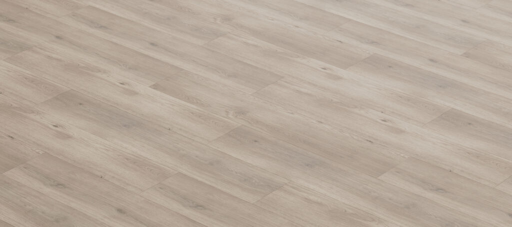 Фото об'єкта renacg005-1024x455