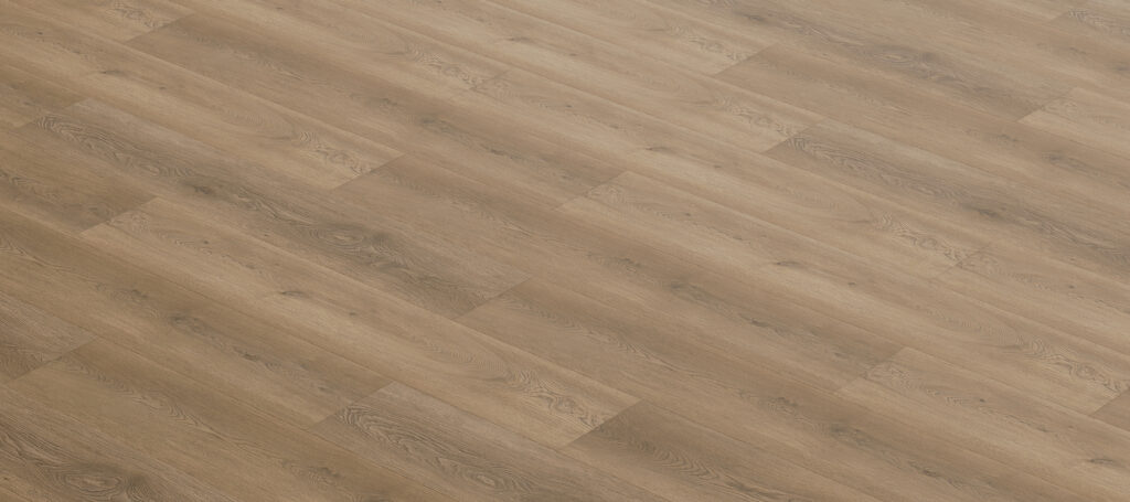 Фото об'єкта renacg010-1024x455