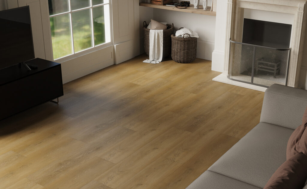 Фото об'єкта renacg010-scene2.1-1024x631