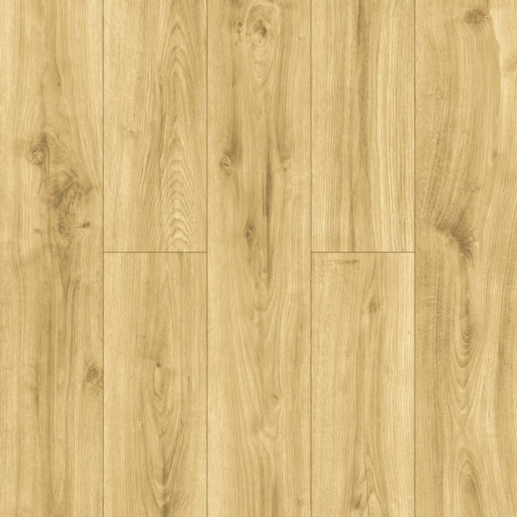 Фото об'єкта 40594-1024x1024