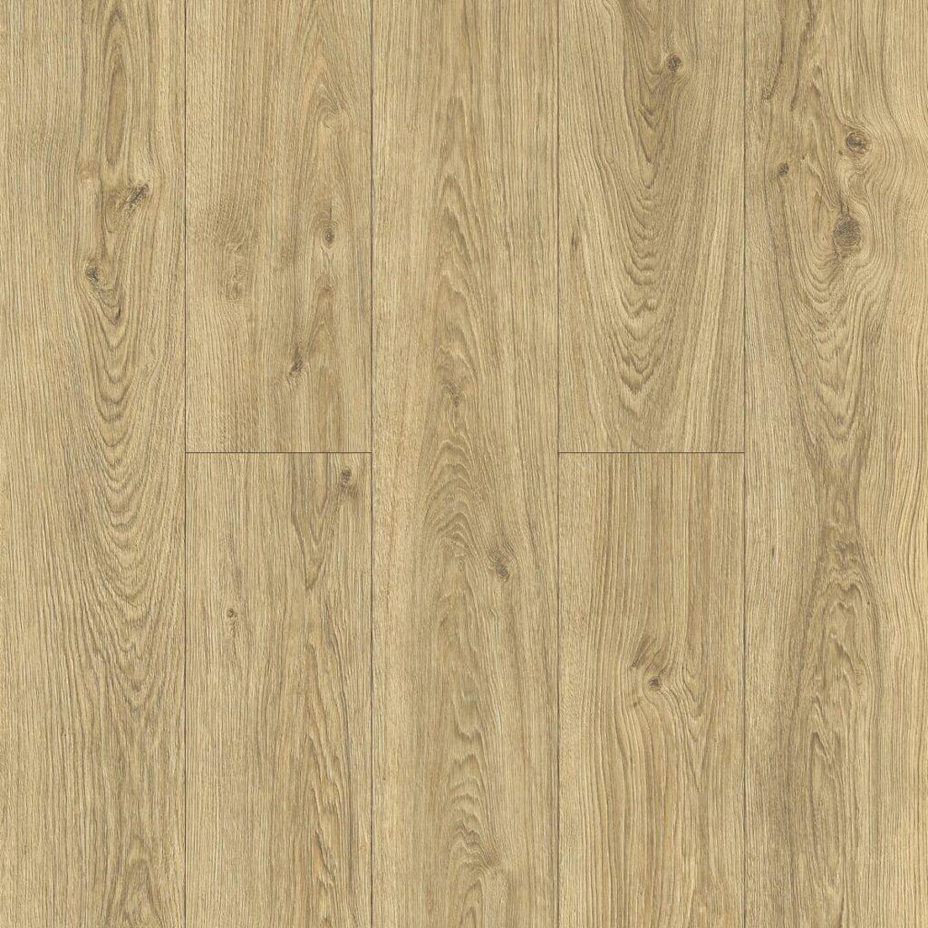 Фото об'єкта 40604-1024x1024