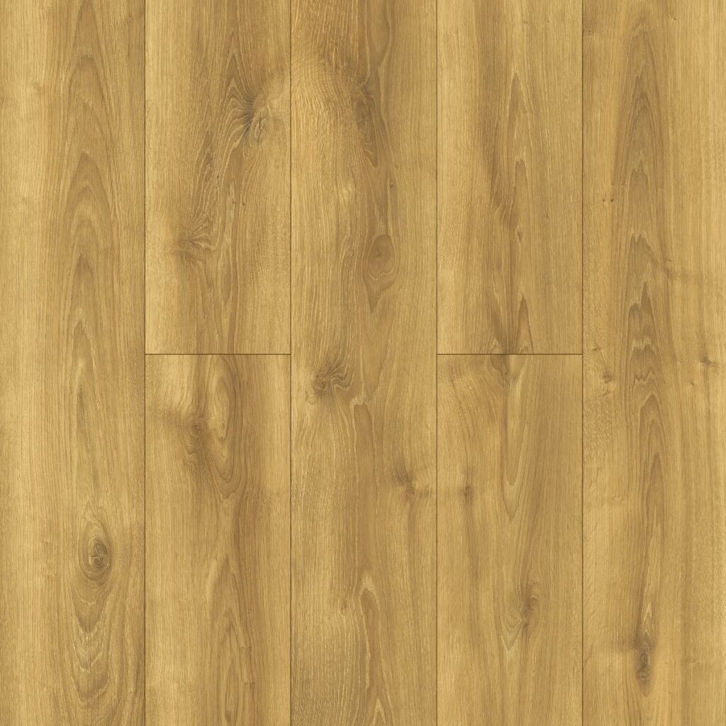 Фото об'єкта 40634-1024x1024