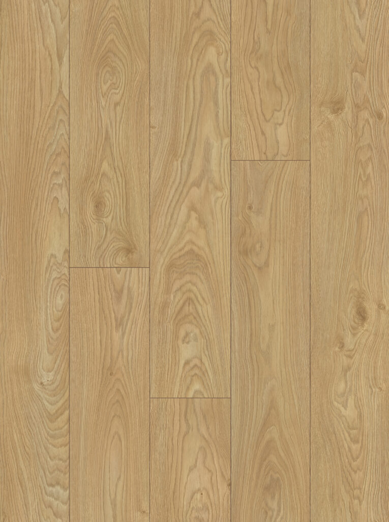 Фото об'єкта 56601-765x1024