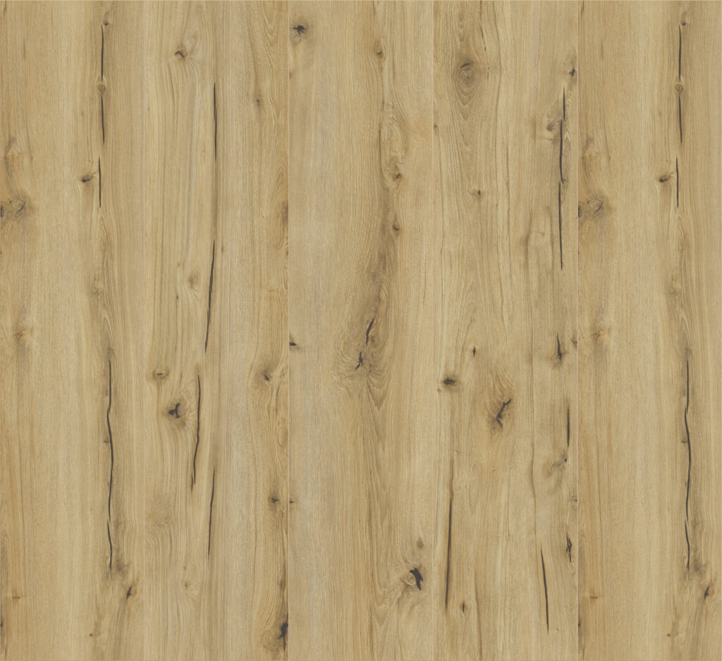 Фото об'єкта 62496-1024x937