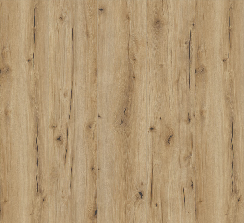 Фото об'єкта 62503-1024x937