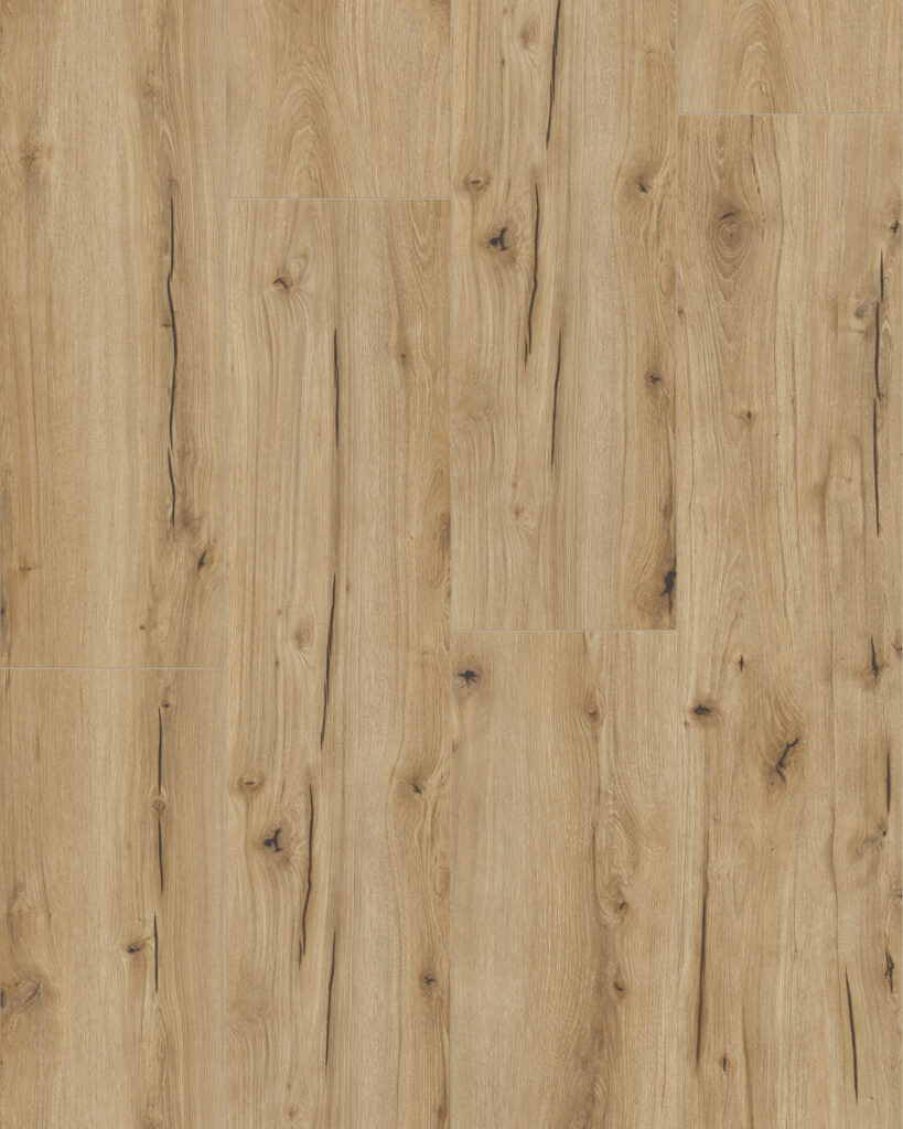 Фото об'єкта 62503_1-819x1024