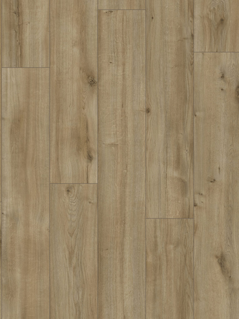 Фото об'єкта l4139_t_192_d_2-765x1024