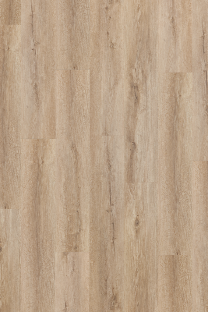 Фото об'єкта sherman_oak_3-683x1024