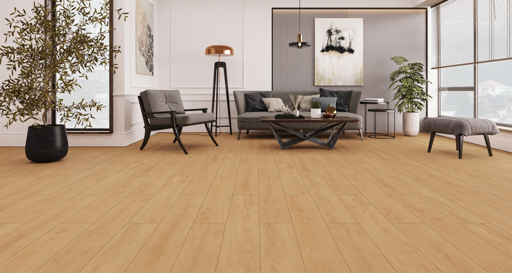 Фото об'єкта sw010-1-1024x546