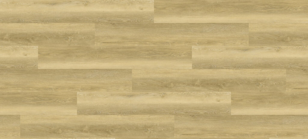 Фото об'єкта fc19017-13-1024x465