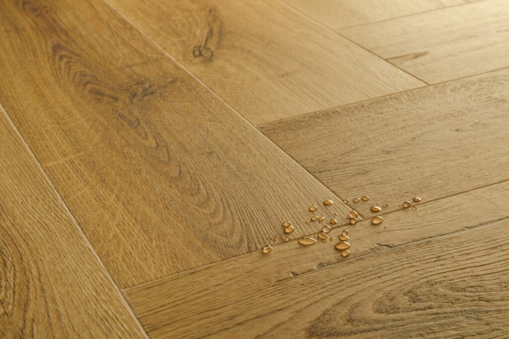 Фото об'єкта cq5dam-web-4-1-1024x683