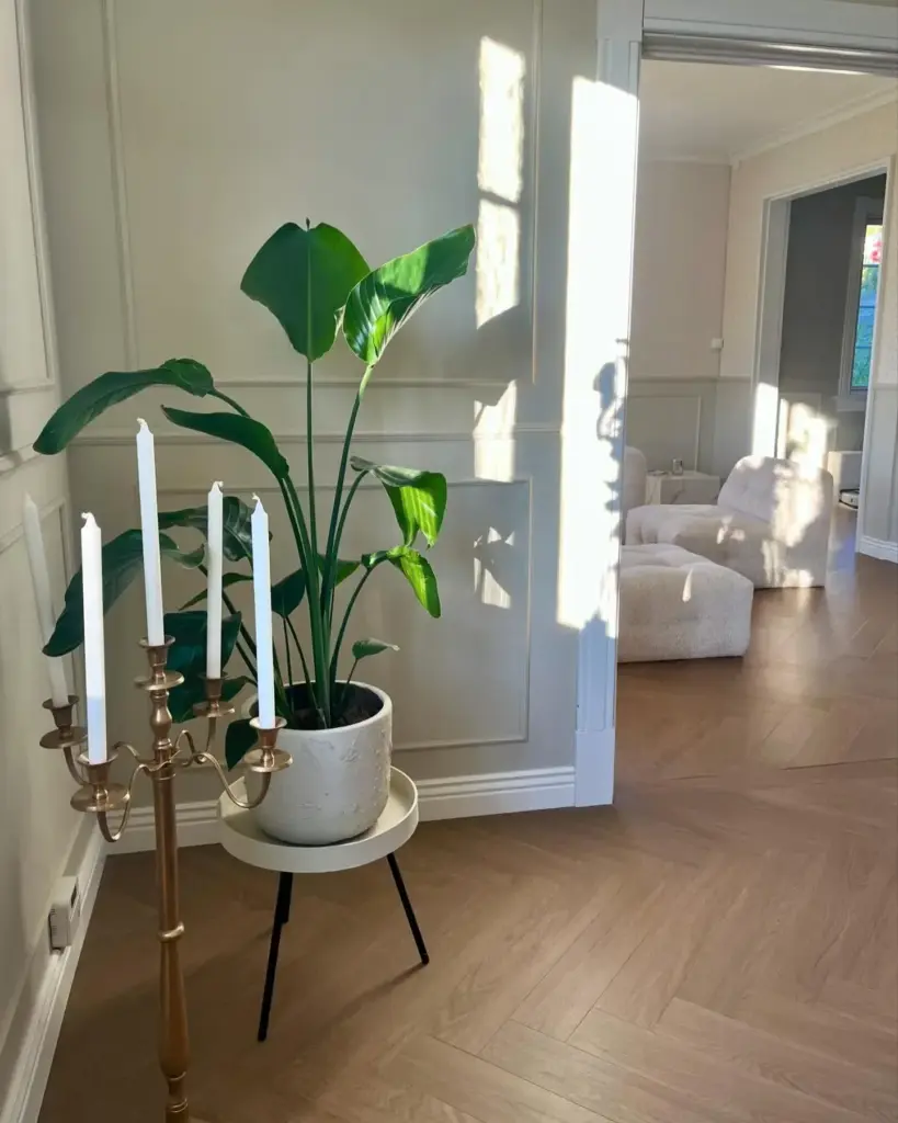 Фото об'єкта gerflorvirtuo_55_hb_rigid_acoustic1465_blomma_natural-79374150254690-1-819x1024