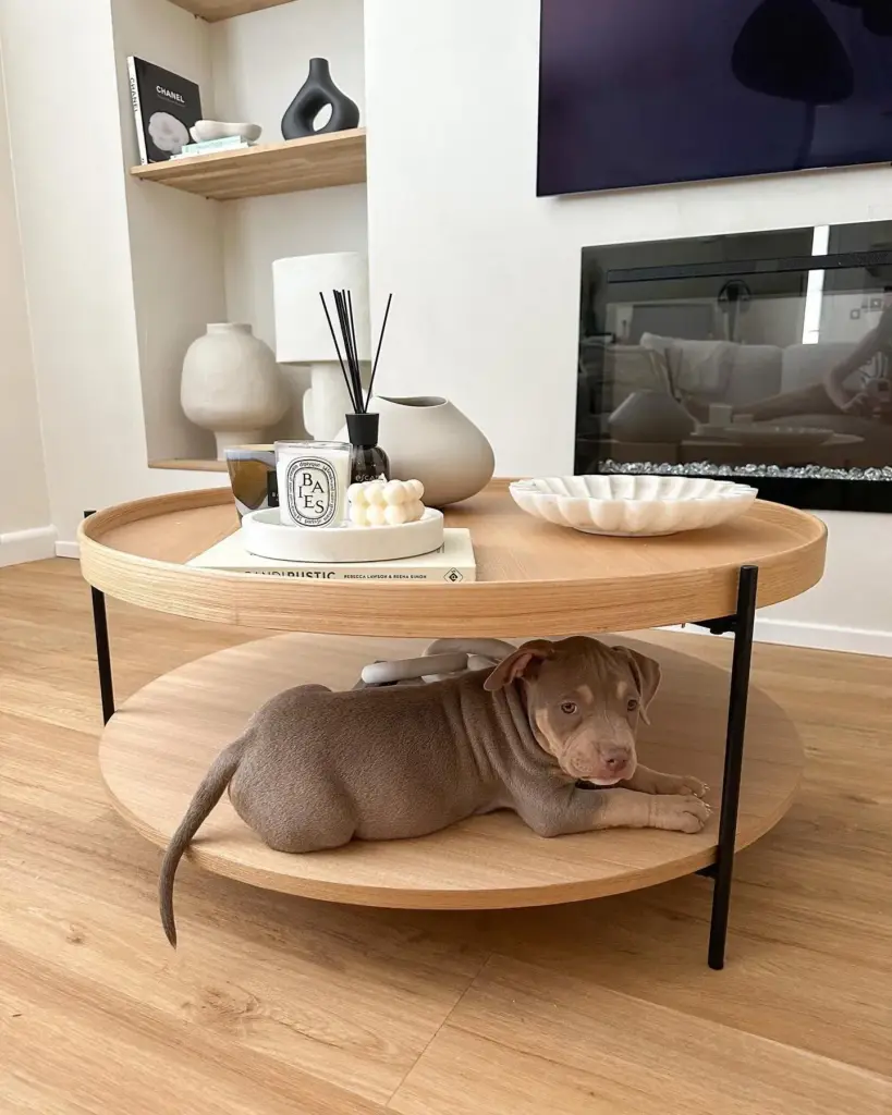 Фото об'єкта gerflorvirtuo_55_rigid_acoustic1118_sakia-17939538748085-819x1024